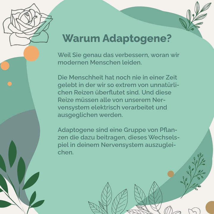 KRAFTKRAUT - Adaptogen Komplex
