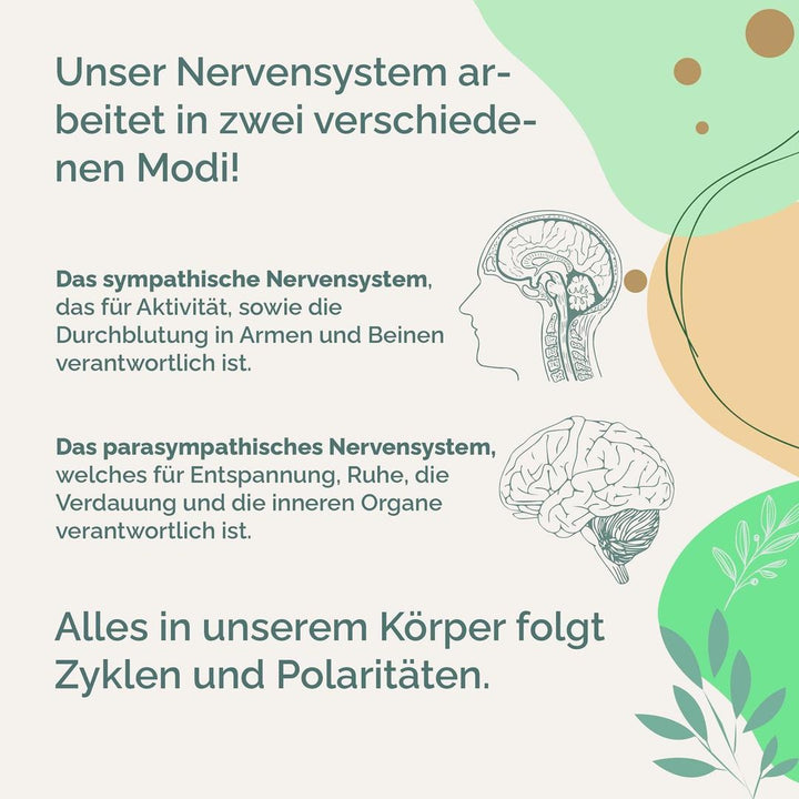 KRAFTKRAUT - Adaptogen Komplex