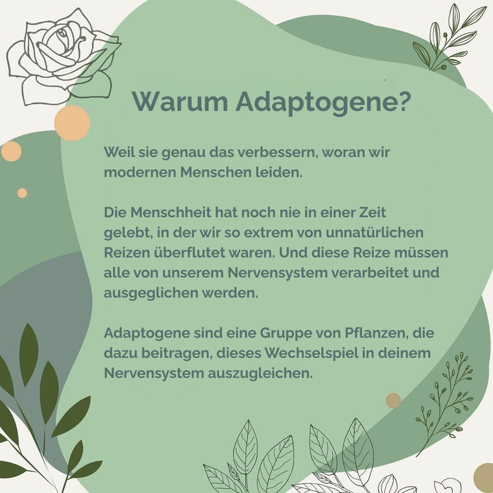 KRAFTKRAUT - Adaptogen Komplex
