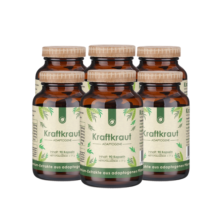 Kraftkraut 6er Angebot
