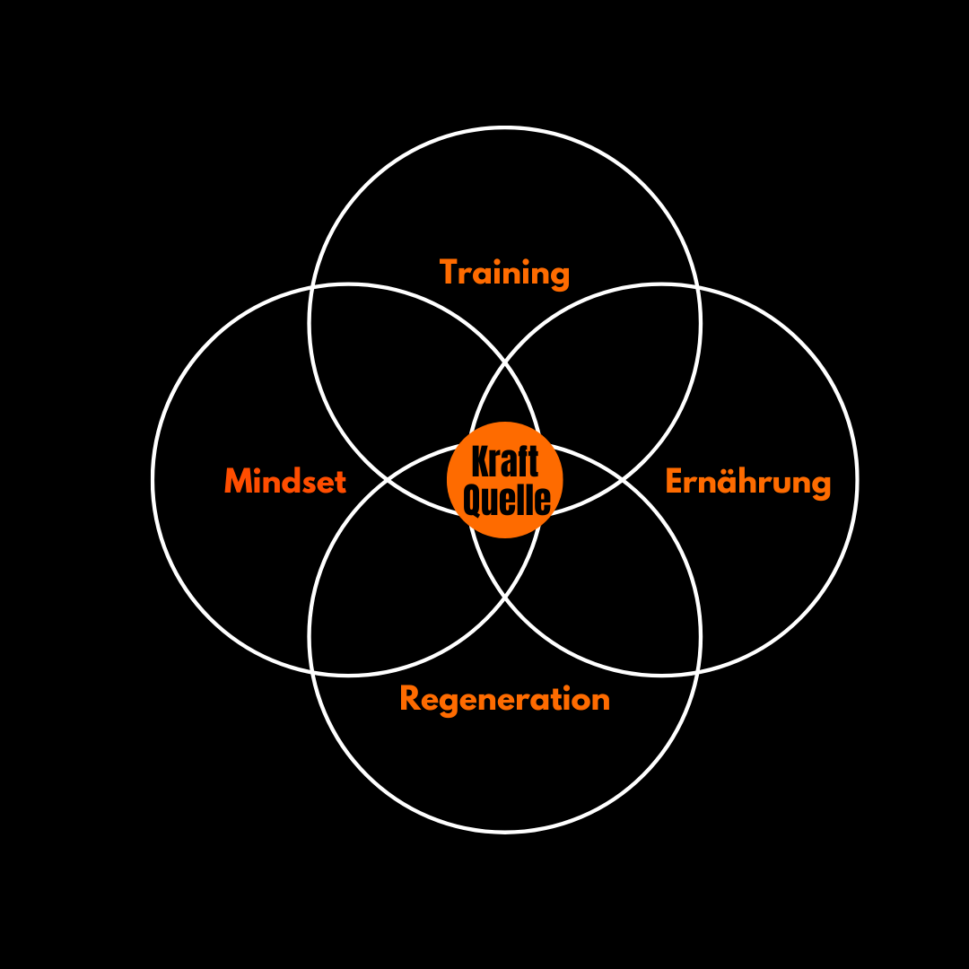 Kraftquelle-System